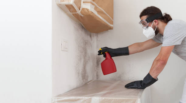 Professional Mold Removal technician working in Capron, VA