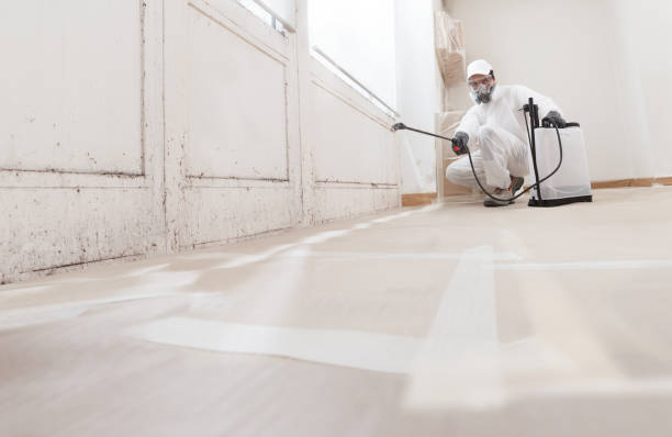 24/7 Emergency Mold Removal experts in Capron, VA